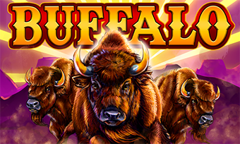 buffaloclassic